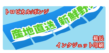 トロピカル/ポンジ・横長・インクジェット印刷